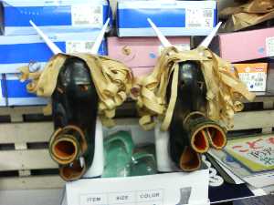 �y���W�����{�s�I�j�R��2008 �����̌C�X����_6